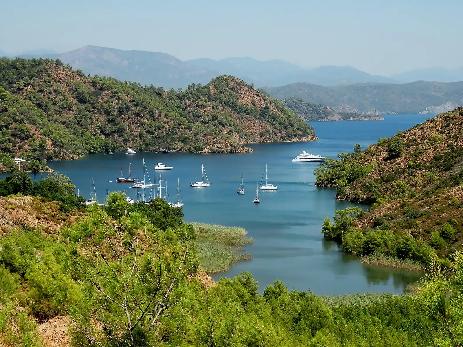 Luftaufnahme der Boynuzbükü-Bucht in Göcek, umgeben von Pinienwäldern.