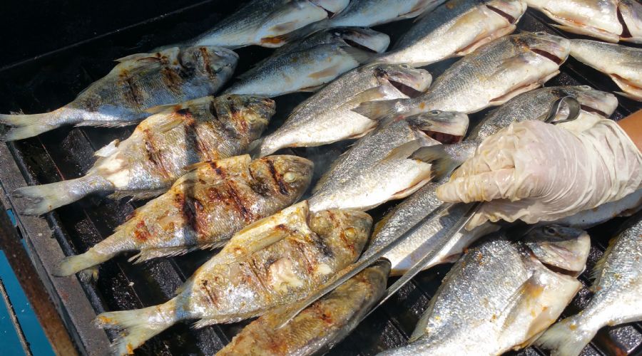 Kayalar Günlük Gezi Teknesi