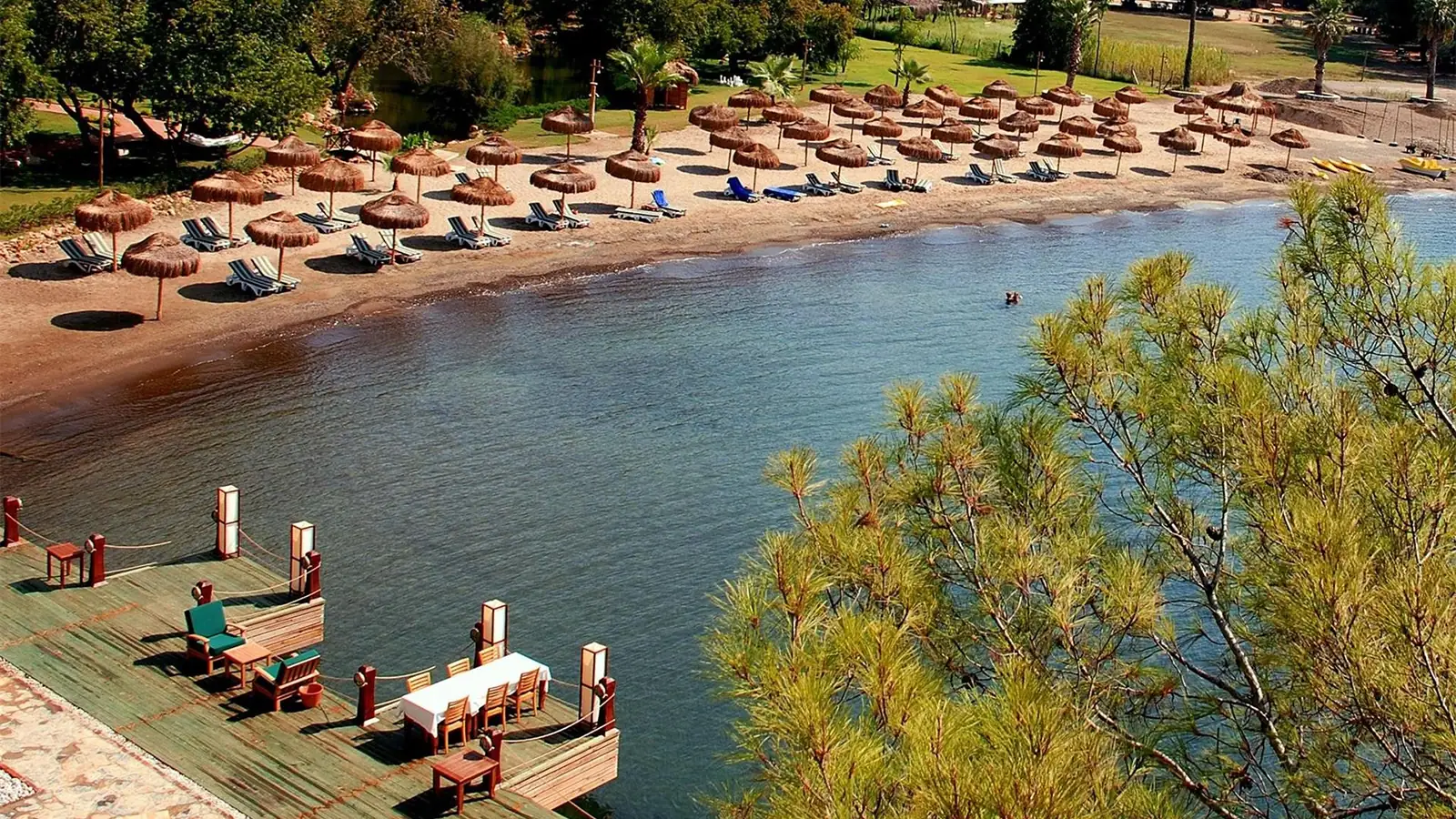 Fethiye'deki Günlüklü Koyu'nun plajı ve endemik Sığla (Günlük) ağaçları. Kamp ve günübirlik ziyaretler için popüler, eşsiz bir doğa alanı.