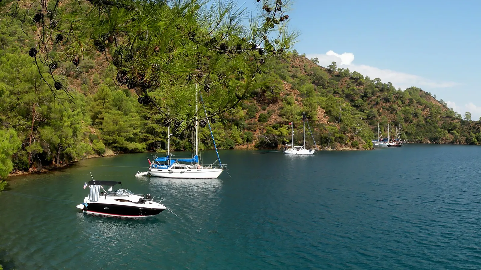 Göcek Boynuzbükü Koyu'nda demirlemiş tekneler ve yemyeşil ağaçlarla çevrili sahil. Göcek'in sakin ve huzurlu mola noktalarından biri.