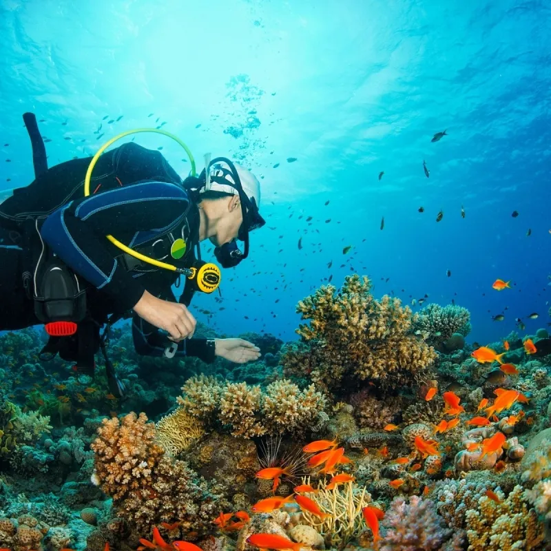diving
