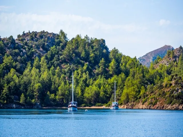 Mavi Yolculuk Rehberi